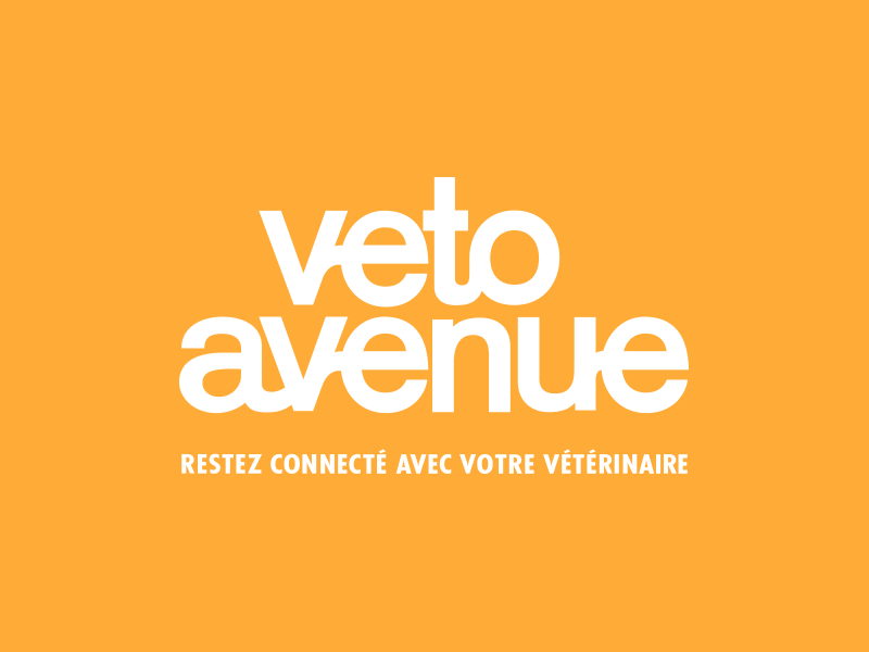 Logo Veto Avenue orange