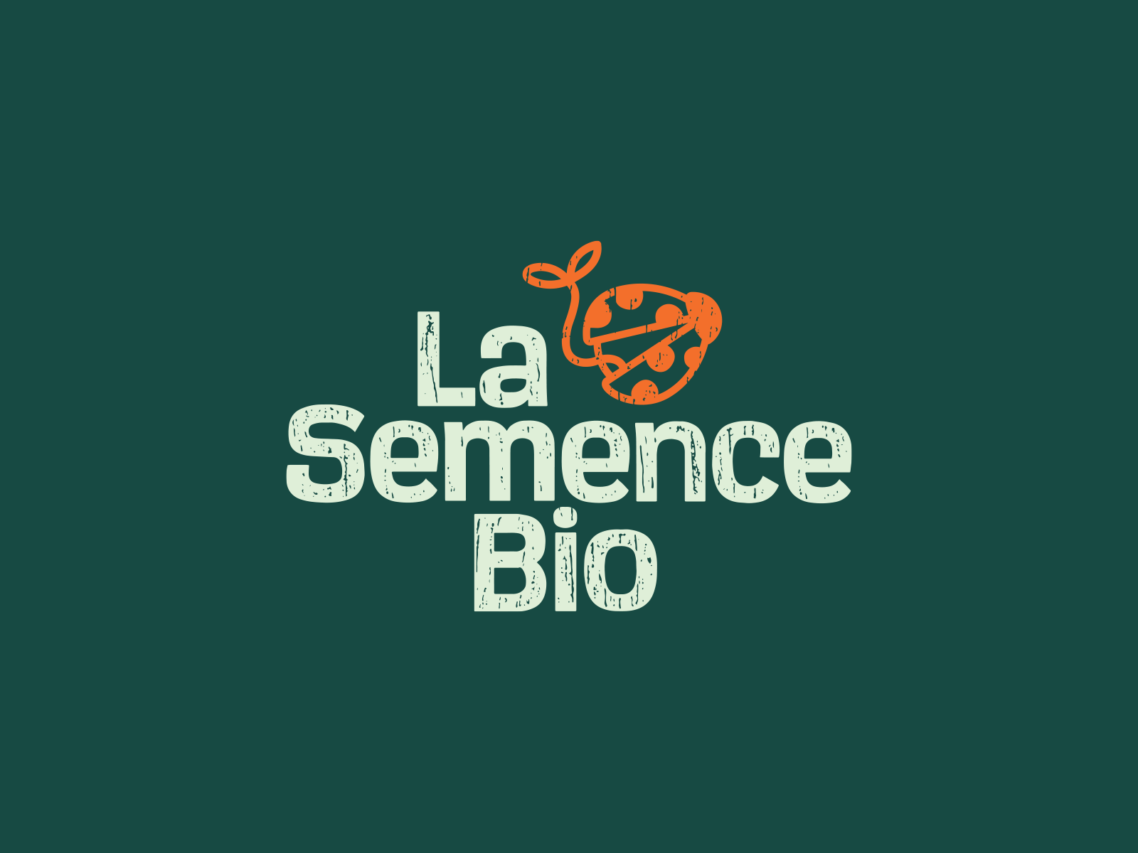 La semence Bio, semons la vie dans nos assiettes