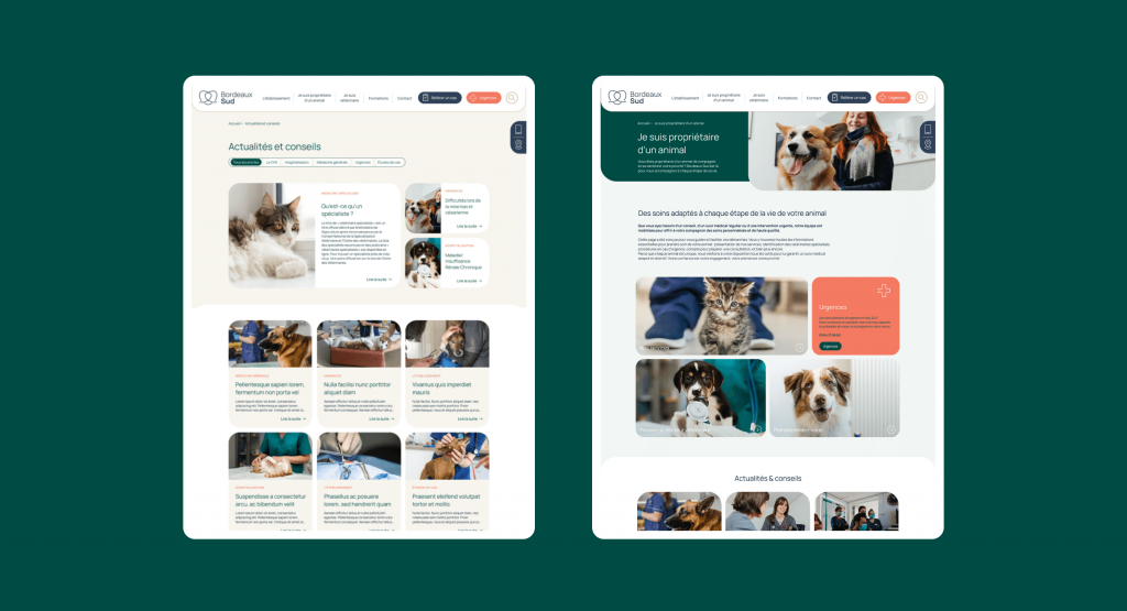 Site internet sur mesure reflétant l'identité visuelle vétérinaire Bordeaux Sud