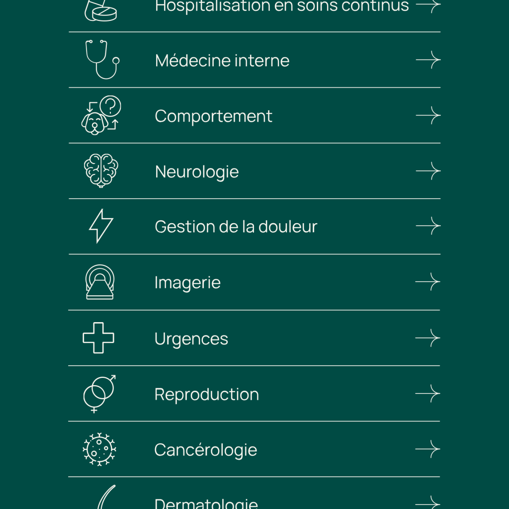 Menu burger de la version mobile du site internet bordeaux sud