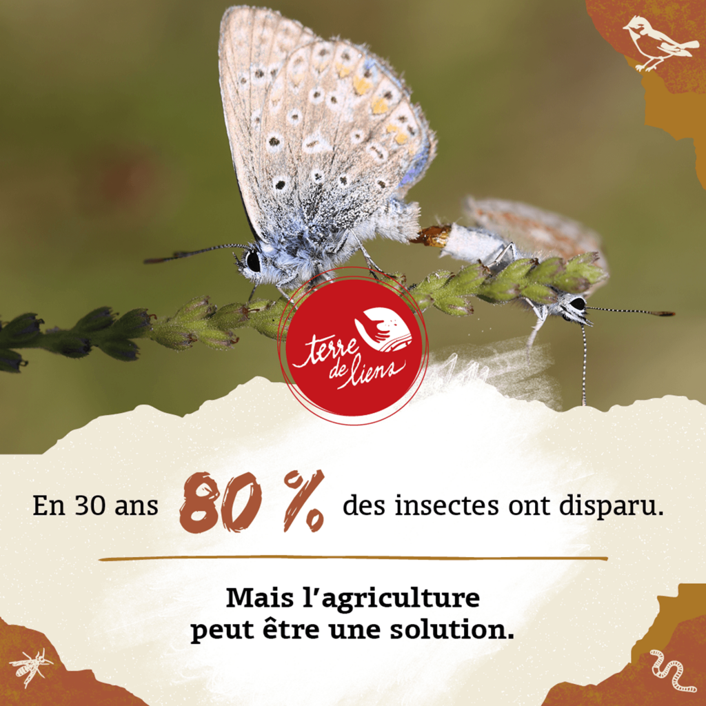 Réseaux sociaux Terre de Liens
